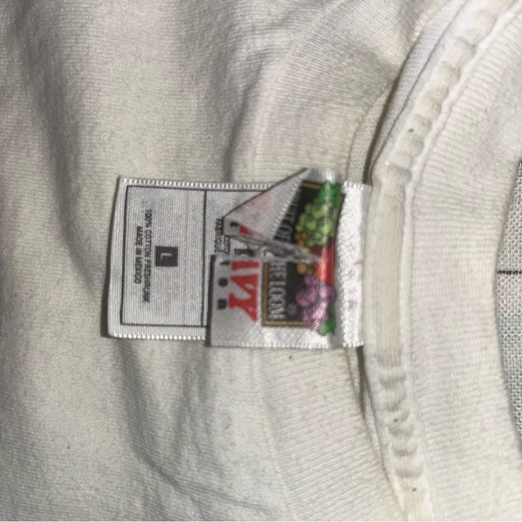 fruit of the loom Georgia peach state 1999 shirt size L - Picture 8 of 11